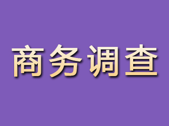 曲麻莱商务调查